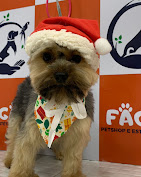 Banho e Tosa Foto 02.jpg